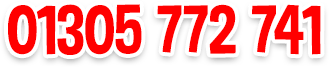 01305 772 741